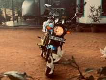 Photo 8