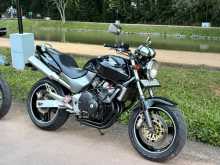 Honda Hornet 2009 Motorbike