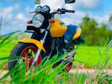 Honda Hornet 2007 Motorbike