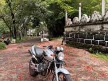 Honda Hornet 2005 Motorbike