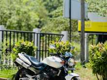 Honda Hornet 2008 Motorbike