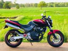 Honda Hornet 2011 Motorbike