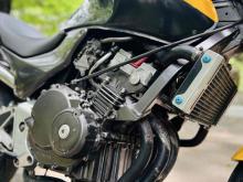 https://riyasewana.com/uploads/honda-hornet-914482924886.jpg