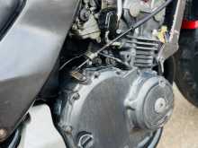 https://riyasewana.com/uploads/honda-hornet-917291313474.jpg