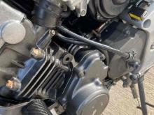 https://riyasewana.com/uploads/honda-hornet-ch-49283524281.jpg