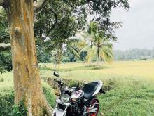 https://riyasewana.com/uploads/honda-hornet-ch120-311531724496.jpg