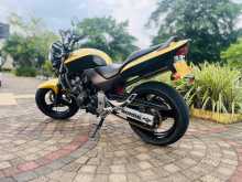 Honda Hornet 250 2009 Motorbike