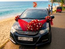 Honda Insight 2010 Car