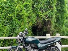 Honda Jade 2015 Motorbike