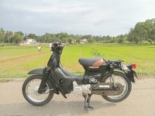 Honda Little Cub 2023 Motorbike