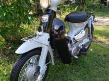 https://riyasewana.com/uploads/honda-little-cub-211302384813.jpg