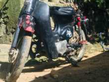 Honda Little Cub 2009 Motorbike