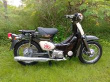 Honda Little Cub 50 Japan 2021 Motorbike