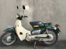 Honda Little Cub50 2019 Motorbike