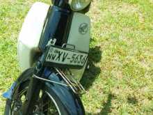 Honda Little Cup 2019 Motorbike