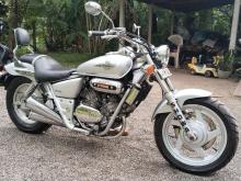 https://riyasewana.com/uploads/honda-magna-101915596746.jpg