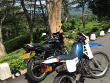 https://riyasewana.com/uploads/honda-mtx-1820180313603.jpg