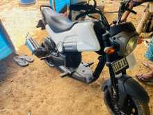 Honda Navi 2019 Motorbike