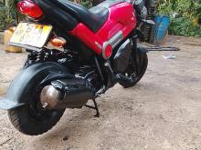 Honda Navi 2019 Motorbike