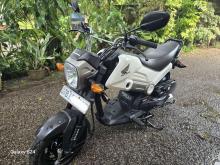 Honda Navi 2019 Motorbike