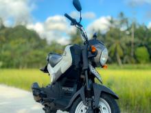 Honda Navi 2019 Motorbike