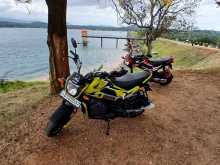 Honda Navi 2019 Motorbike
