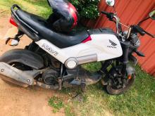 Honda Navi 2019 Motorbike