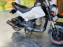 Honda Navi 2019 Motorbike