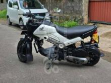 https://riyasewana.com/uploads/honda-navi-241016491329376.jpg