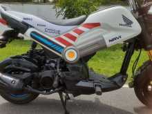 Honda Navi 2019 Motorbike