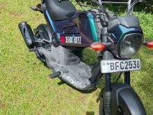 Photo 5
