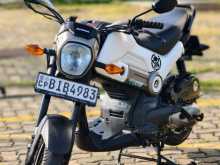 Honda Navi 2019 Motorbike