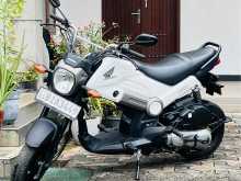 Honda Navi 2019 Motorbike