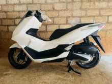 Honda Pcx 2026 Motorbike
