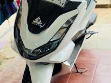 Honda Pcx 160cc 2024 Motorbike