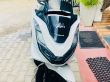 Honda Pcx 2024 Motorbike