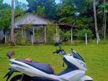 Honda Pcx 150 2014 Motorbike