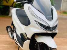 Honda PCX 150 Angel Light 2019 Motorbike