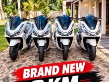 Honda Pcx 2026 Motorbike
