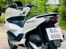 Honda Pcx 2024 Motorbike