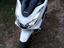 Honda Pcx 2024 Motorbike