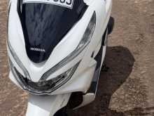 Honda PCX 2019 motorcycle
