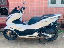 Honda Pcx 2024 Motorbike