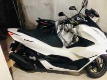 Honda PCX 2024 Motorbike