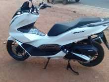 Honda Pcx 2024 Motorbike