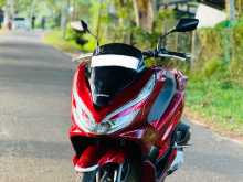 Honda PCX 2019 Motorbike