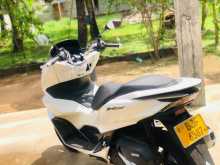 Honda Pcx 2024 Motorbike