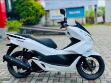 Honda Pcx 2025 Motorbike