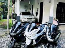 Honda Pcx 2024 Motorbike