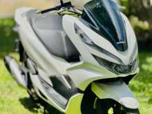 Honda PCX 2019 Motorbike